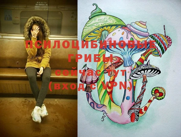 spice Богданович