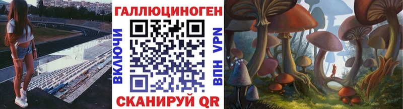 Псилоцибиновые грибы прущие грибы Сертолово